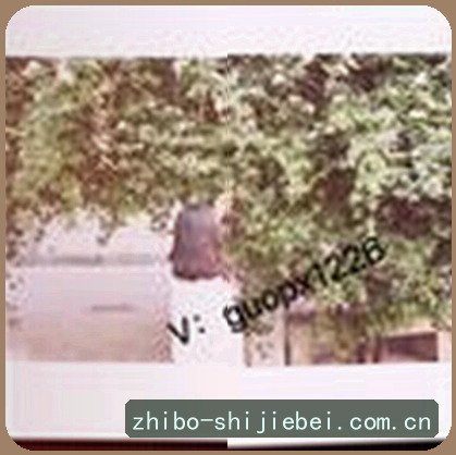 陈静